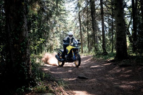 V-Strom 800 DE 22